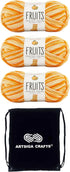 Premier Yarns Fruits Orange 2052-05 (3-Skeins - Same Dye Lot) Weight #1 Acrylic Yarn for Crocheting and Knitting - Bundle with 1 Artsiga Crafts Pr...