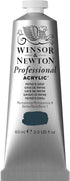 Winsor & Newton Professional Acrylic Paint, 60ml (2-oz) Tube, Payne's Gray...