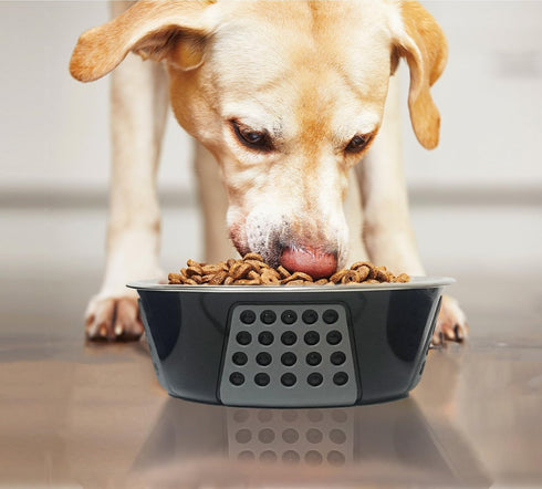 SPOT by Ethical Products - Non Slip Stainless Steel Dog Bowl Durable Dog Food and Water Pet Dish - Dishwasher Safe –Tribeca Style - Multiple Sizes...