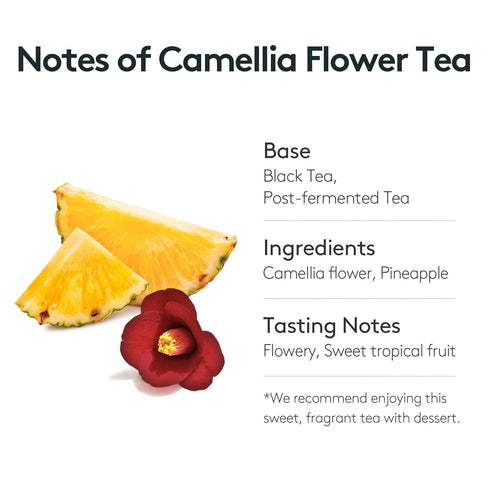 OSULLOC Camellia Tea (Sweet Tropical Fruit Scent) | Korean Premium Blended Tea Bag | Sweet Fruit Tea | 20 Count Tea Bags, 1.27oz...
