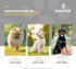 NaturVet Senior Advanced 5-in-1 Support Dog Supplement – Helps Support Immune System, Heart, Liver, Cognitive Function, Eye Health – Includes Gink...