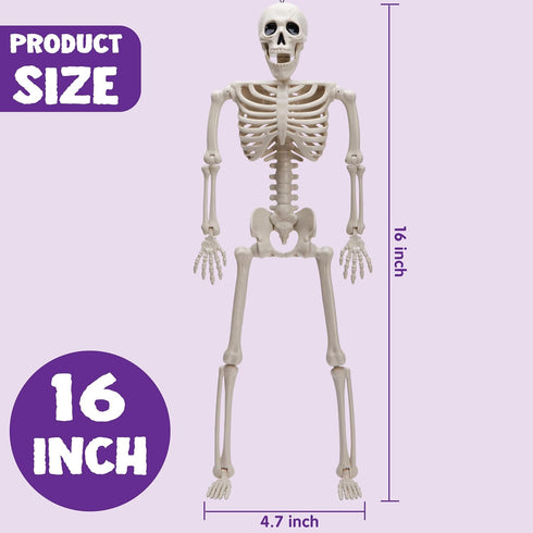 JOYIN 3 PCS Halloween Hanging Skeletons 16" Full Body Posable Joints Movable Plastic Bones for Halloween Party Outdoor Indoor Decor, Yard Patio La...