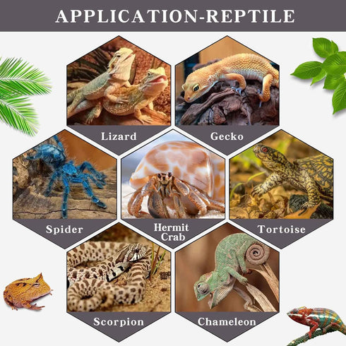 Halloween Human Skull Reptile Hide, Grey Reptile Hides and Caves for Ball Python Leopard Gecko Snake Bearded Dragon Lizard Fish Chameleon Spider, ...