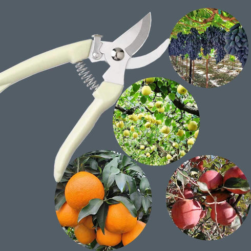 3CR13 Garden Shears farmer florist Pruner For garden picking fruit pruning regenerated branches, secateurs, white...