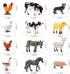 Farm Animal Model Playsets 12 PCS Mini Poultry Chicken Duck Geese Action Figure Toys for Boys Girls Kids...