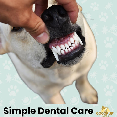 Dog Teeth Cleaning Wipes Ear Nose Paws Fur Cleaner Pure Coconut Oil...