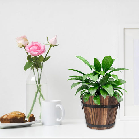 DOITOOL Wooden Whiskey Barrel Planter Large Wooden Planters Round Wooden Garden Flower Pot Decor Wood Planter Flat Mouth 19x14x15cm...