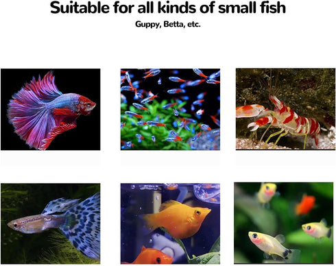 J-star Extra Large Fish Breeder Box, Acrylic Aquarium Breeder Box, Fish Isolation Box for Betta, Guppy, Killifish, Shrimp, Clownfish etc....