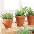 Yishang 2 Inch mini Terracotta Clay Pots Pack of 9 - small Hand Craft Nursery Plant Pot Succulent Cactus DIY Pottery Planter Home Garden Windowsil...
