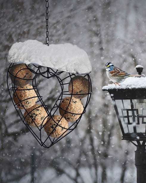 Hanging Wild Bird Feeder, Suet Ball Bird Feed Dispenser, Suet Ball Holder for Outside, Fat Ball Feeder, Heart Shaped...