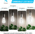8W LED Light Bulb Edison Bulbs 100 Watt equivalent, Vintage ST58 Dimmable LED Bulbs Bright 960Lumens, E26 Medium Base Antique Clear Glass Filament...