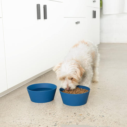 Waggo Habit Silicone Dog Bowl for All Breeds - Modern Heavyweight Silicone, Durable Pet Food and Water Dish Crock, Dishwasher Safe (Light Grey)...