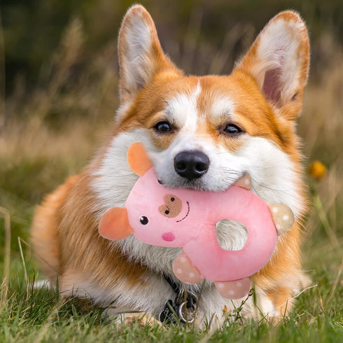 6 Pack Puppy Toys for Teething Small Dogs, Cute Pink Dog Chew Toys for Puppies, Soft Squeaky Dog Toys for Small Breed Cleaning Doggy Teeth, Outdoo...