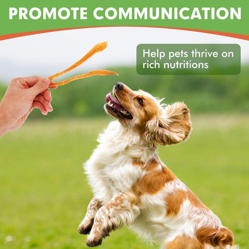 MON2SUN Dog Treats, Chicken Jerky Strips for Small Dogs, High Protein & Grain Free Dog Snacks, Easy to Digest Dog Training Treats (Chicken, 10.58 ...