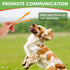 MON2SUN Dog Treats, Chicken Jerky Strips for Small Dogs, High Protein & Grain Free Dog Snacks, Easy to Digest Dog Training Treats (Chicken, 10.58 ...
