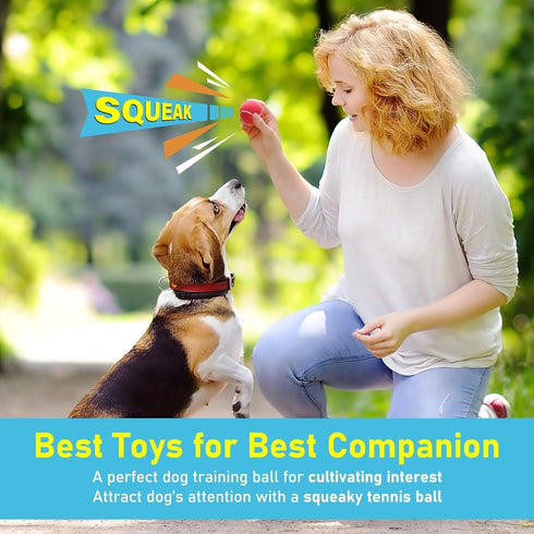 PrimePets Mini Tennis Balls for Dogs, 2 Inch Squeaky Dog Toys, Interactive Dog Toy Balls for Indoor Outdoor, Dog Squeaky Toys for Small & Medium D...