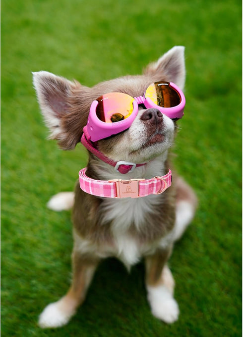 Lionheart glory Valentine's Day Collar, Pink Plaid Dog Collar for Medium Cute Dog Collars Spring Female Pet Gift Adjustable Heavy-Duty Dog Collar ...