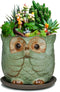 Dahlia 4" Speak No Evil Owl Handmade Ceramic Succulent Planter/Plant Pot/Flower Pot, Green...