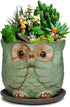 Dahlia 4" Speak No Evil Owl Handmade Ceramic Succulent Planter/Plant Pot/Flower Pot, Green...