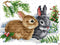 YANCONGLIDEYAN Cross Stitch DIY Hand Needlework Kits 11CT Stamped Cross Stitch Kits for Beginners Pre-Printed Embroidery Kit Pattern Rabbits...