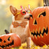 Halloween Dog Collar, Pet Collar Dog Bow Pumpkin Dog Collar Girl Boy Holiday Pet Dog Collar Gift Bow Dog Collar Cute Soft Puppy Collar for Large D...