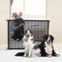 Dog Gate for Stairs Pet Gates for The House: Dogs Screen Mesh Gate for Doorways Stairways Indoor Safety 29 inches Tall, 38 inch Wide...