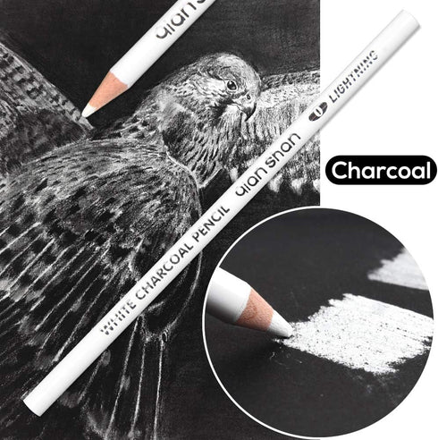 qianshan 2 Pcs Black White Color Charcoal Pencils, Professional Hight Quality Sketch Highlight Charcoal Wooden Pencils for Artist Drawing, Sketchi...