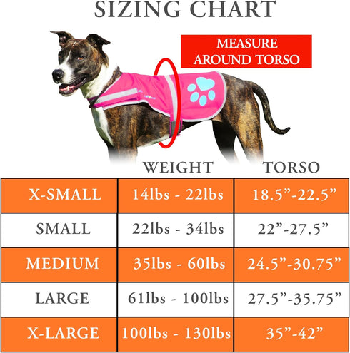 Dog Reflective Vest, Sizes to Fit Dogs 14 lbs to 130 lbs - SafetyPUP XD Hi Vis, Safety Vest Keeps Dogs Visible On and Off Leash in Both Urban and ...