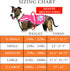Dog Reflective Vest, Sizes to Fit Dogs 14 lbs to 130 lbs - SafetyPUP XD Hi Vis, Safety Vest Keeps Dogs Visible On and Off Leash in Both Urban and ...