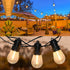 New S14 LED String Light Replacement Bulb, 12PK LED Bulb, 0.6 Watts 120 Volts, E12 Screw Base, Warm White...