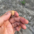 100pcs 5ml Mini Glass Bottles Pendants With Cork Stopper Small Bottle Decoration Crafts Vials Jars Gift DIY Bottles (12x75mm)...
