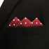 S&W SHLAX&WING Tie Sets for Men Wedding Necktie Red Burgundy Dot Extra Long Matching Pocket Square...