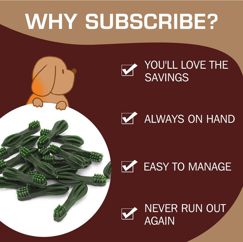 UrbanX HealthyBones Original Natural Dog Dental Care Mint Snacks Oral Health Dog Food for Small, Large and Other Dogs, 30 Count...