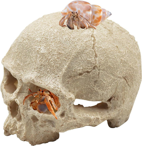 Snake Hideout, Reptile Aquarium Skull Decor, Resin Skeleton Head Fish Hide, Tank Terrarium Accessories, Reptile Hides and Caves for Fish Bearded D...