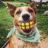 Dog Balls Toys Squeaky Fetch - Rubber Funny Ball Gifts for Large Medium Dogs (Variety Pack)...