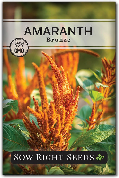 Sow Right Seeds - Bronze Amaranth Seeds for Planting - Non-GMO Heirloom Packet with Instructions to Plant & Grow an Outdoor Home Vegetable Garden ...