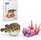 Gemini&Genius Pufferfish Toys for Kids, Realistic Puffer Fish Action Figures, Blowfish Toys, Under The Sea Life Figure Educational Gifts, Displays...