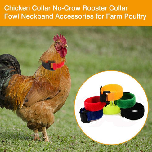 Upgrade Anti Crow Rooster Collar, Chicken Neckband Noise Free, No Crow Rooster Collar,Anti Noise Nylon Neck Belt to Keep Roosters Quiet,6 Pieces...