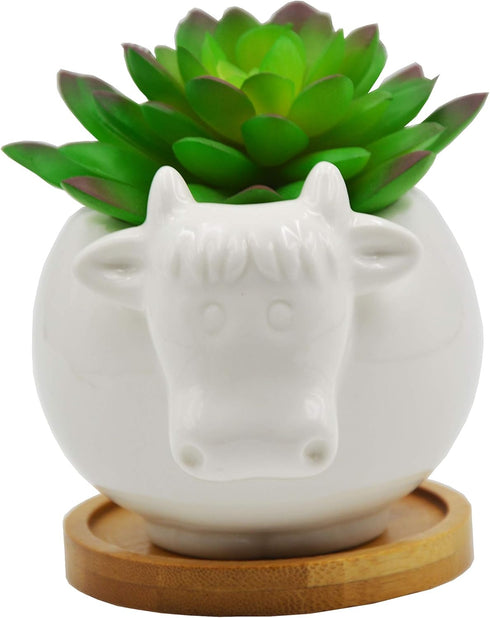 Cuteforyou Succulent Pots,Cute Cartoon Ceramic Succulent Cactus Flower Pot,Pencil Holders,Desk Accessories, Makeup Brush Storage Stand-Plant Not I...