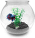 Mini Aquarium Fish Bowls (0.8Gallon / 3L)...