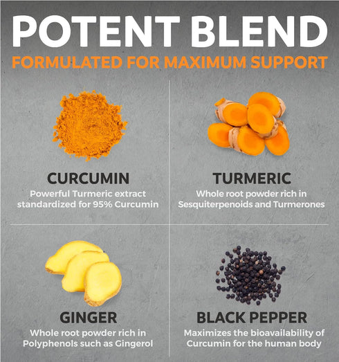 USDA Organic Turmeric Curcumin with Black Pepper and Ginger (2 Month Supply) Joint Support Supplement with Tumeric and Ginger Root Powder - Organi...