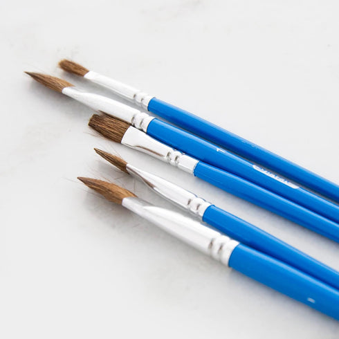 BAZIC Paint Brushes Set Flat Natural Hair Brush, Paintbrushes for Acrylic Oil Watercolor Gouache Art Painting (5/Pack), 1-Pack...