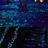 100 Pcs Glow in The Dark Garden Pebbles for Walkways and Decor in Blue...