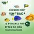 BAC+ Aquarium Probiotics, Pleasant Smell, Disease Resistance, Immunity Boosting (BAC+ (New Formula), 105ml)...