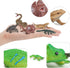 12PCS Mini Amphibians Set,Reptiles Animals Rainforest Wildlife Toy Set Lizard,Tortoise,Snake,Iguana,Tree Frog,Crocodile,Chameleon,Party Favor for ...