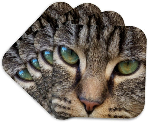 3dRose LLC Cat Face Close Up Coaster, Soft, Set of 4...