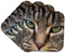 3dRose LLC Cat Face Close Up Coaster, Soft, Set of 4...