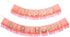 Meri Meri Rainbow Fringe Happy Birthday Banner - 8' Party Garland with Excess Cord...