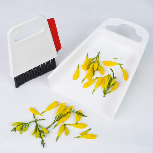 Small Broom and Dustpan Set - Compact Mini Broom with Dustpan Combo for Home, Camping, and Travel-Ideal for Small Spaces - Whisk Broom and Dust Pa...