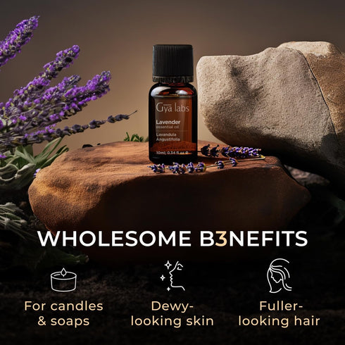 Gya Labs Lavender Essential Oil for Diffuser - 0.34 Fl Oz - 100% Pure Natural Lavender Oil for Skin, Hair, Massage, Aromatherapy & Candle Making S...